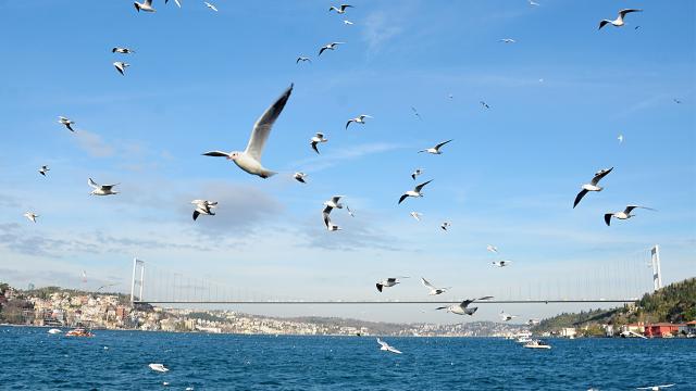 حالة الطقس في تركيا هذا الأسبوع